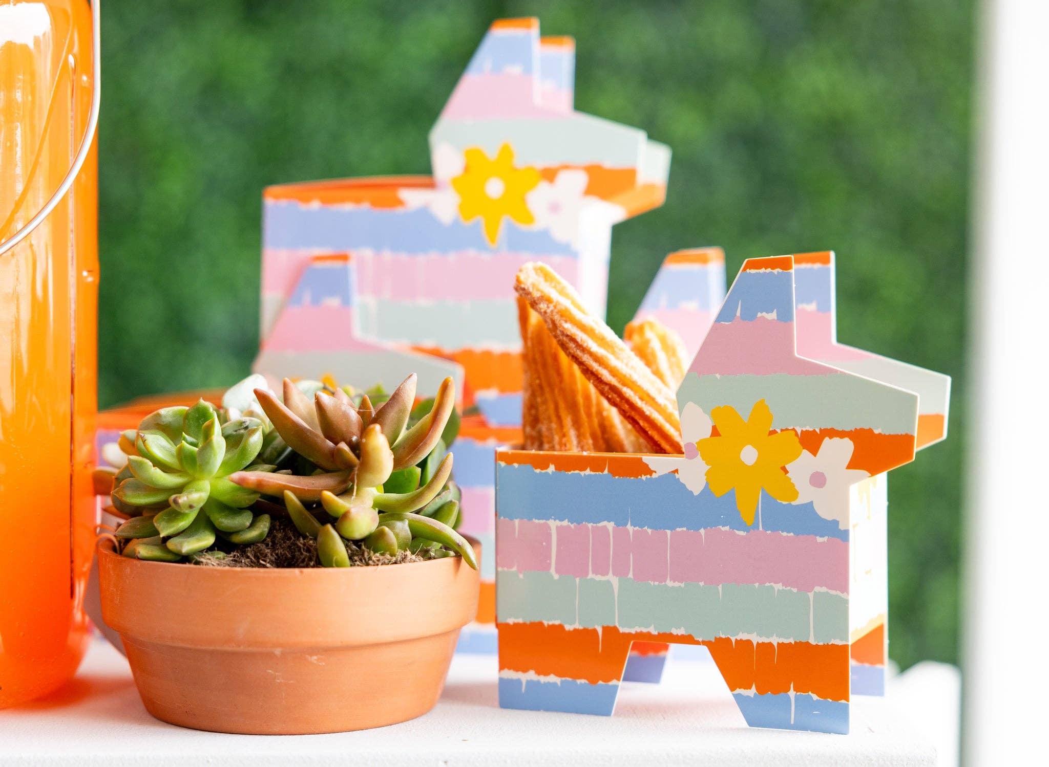 succulent pinata Fiesta Pinata Treat Box (x6) – Celebrate We Will