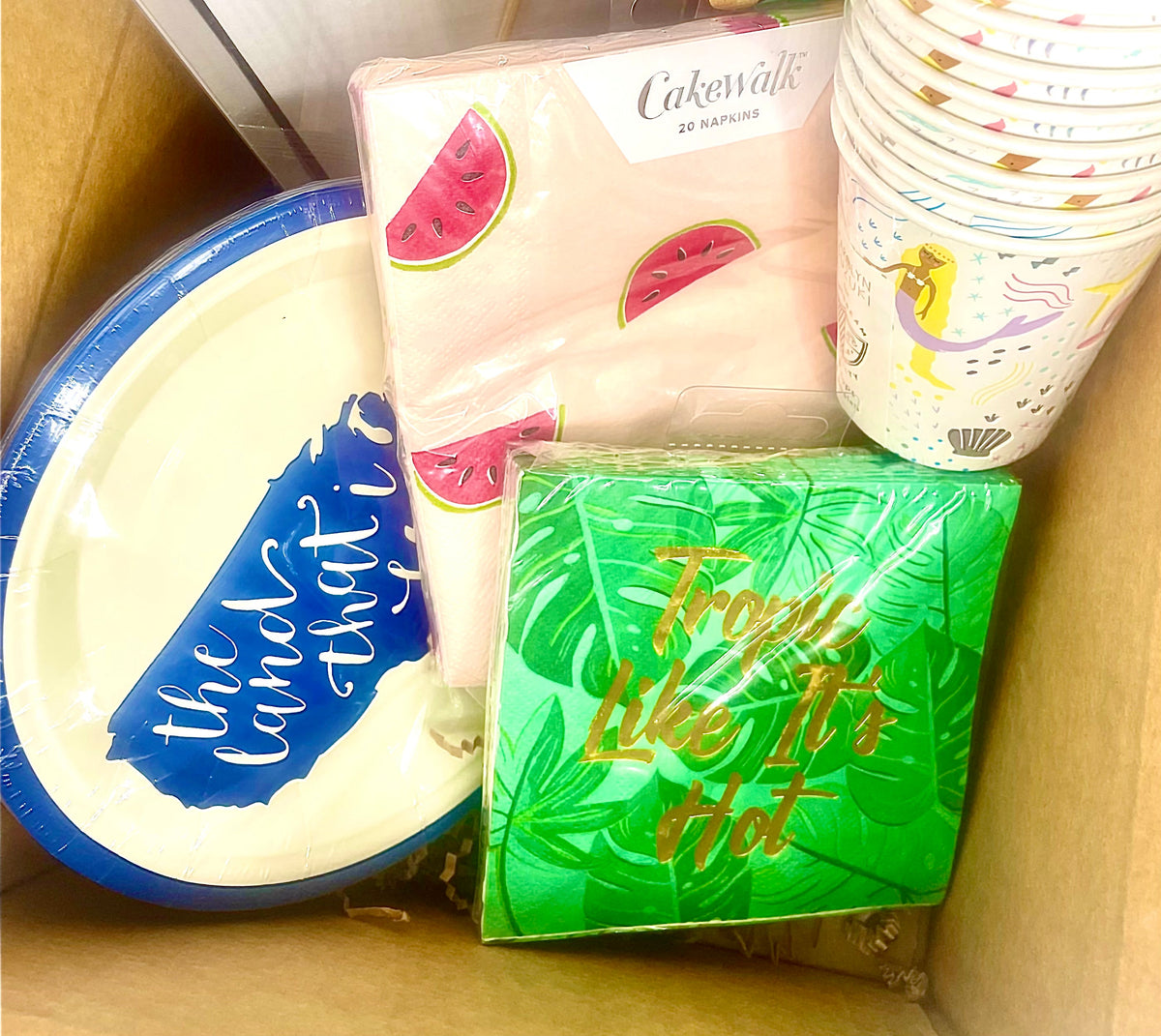 Summer Surprise Party Box – Celebrate We Will