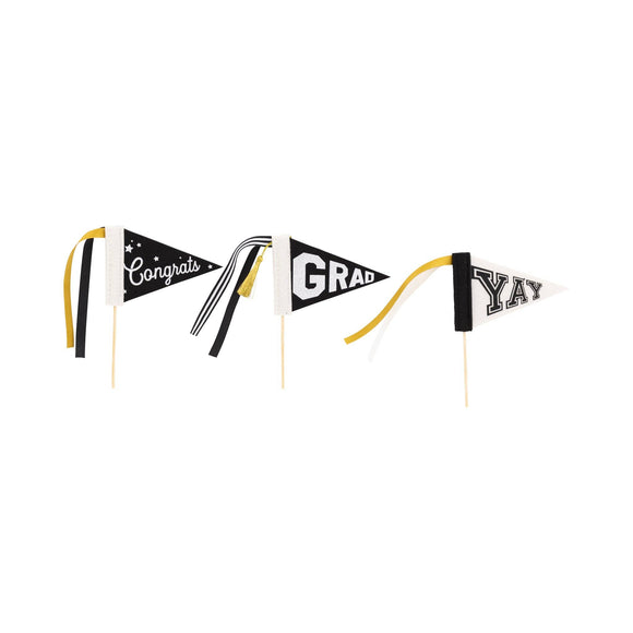 Graduation Mini Felt Pennant Set