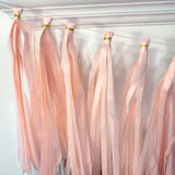 Pastel Pink Giant 3 Foot Balloon & Paper Tassel Tail DIY Garland Kit