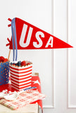 USA Felt Pennant Flag