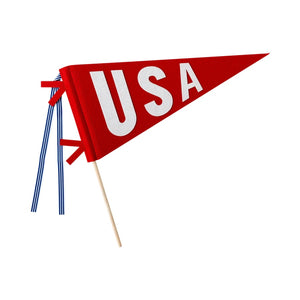 USA Felt Pennant Flag