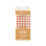 Gingerbread Reusable Straws (x12)