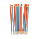 Colored Pencil Reusable Straws (x12)