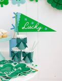 Lucky Felt Pennant Flag