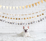 Party Animal Dog Banner